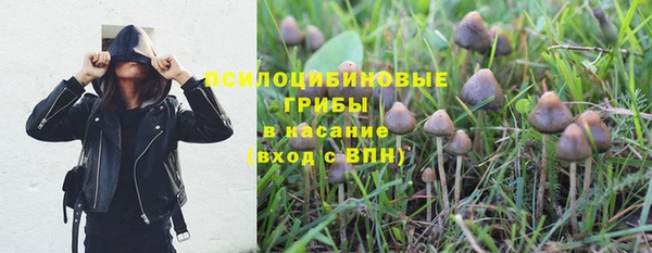 mdpv Вязьма